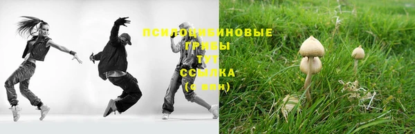 ГАЛЛЮЦИНОГЕННЫЕ ГРИБЫ Балабаново